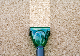 Capet cleaning service