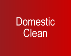 Domestic Cleaning